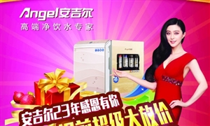 重拳出击 看安吉尔如何提前抢占市场