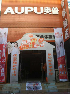 奥普营销案例